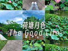 -荔湾湖公园