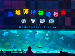 -泉城欧乐堡海洋极地世界