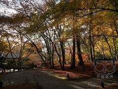 -醍醐寺