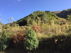 -白草畔自然风景区