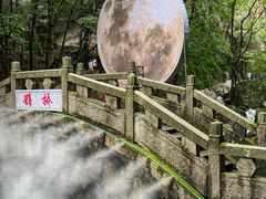 -龙峪湾国家森林公园