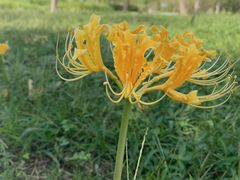 -白塘生态植物园