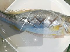 -蓝珊甄选海鲜自助·火锅大排档(近阿那亚店)