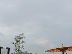 -小茶闲舍·观景商务茶馆(广州塔店)