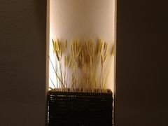 -顺德佬华侨城店·商务宴请·团建