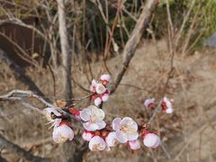 -绿野森林乐园冰雪季