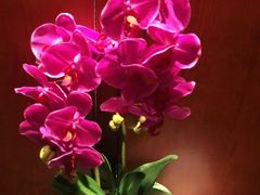 -木兰逸•泰式按摩•头疗•SPA(车公庙店)