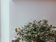 -Mesa Madre梅萨妈妈·Bintana(国贸店)