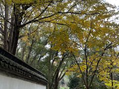 -上海佘山国家森林公园天马山园