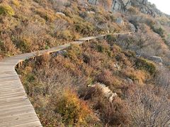 -白草畔自然风景区