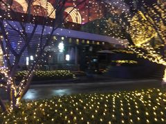 -棕榈MALL