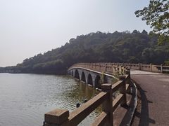 -李小龙乐园(顺德均安店)