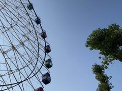 -花博汇(知音花月夜)