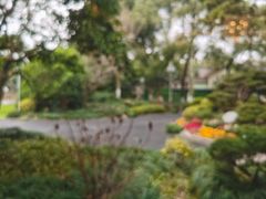 -浙江西子宾馆·瑶园咖啡厅