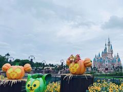 -上海迪士尼度假区