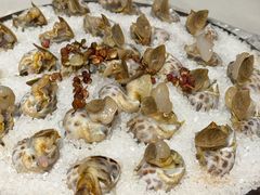 -华盛丰温州大排档(东三环南路店)