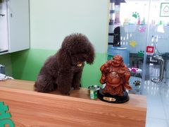 -酷狗靓猫宠物·洗护·美容·寄养(航北路店)
