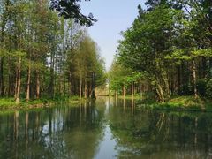 -西溪国家湿地公园