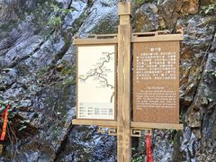 -九龙潭景区