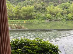 -碧水湾温泉