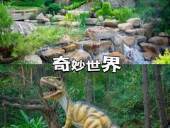 -森波拉奇妙世界