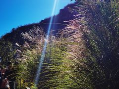-幽岚山·童话森林