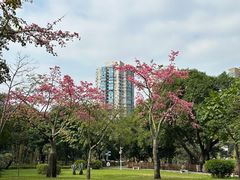 -晓港公园