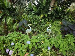 -东莞植物园