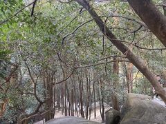 -火炉山森林公园
