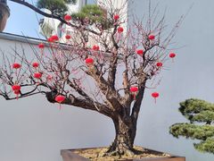 -龙华寺