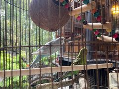 -哈哈曲艺社(西门闲亭店)