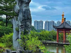 -广州神农草堂中医药博物馆