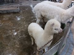 -上海大自然野生昆虫馆(东方明珠·爬宠昆虫探索中心)