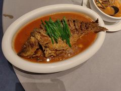 红烧黄河大鲤鱼-宴天下大酒店(政和路店)