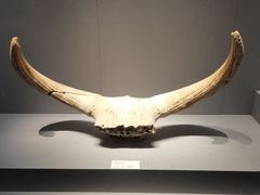 -赤峰博物馆