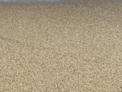 -亚龙湾海底世界