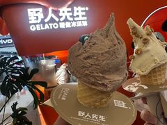 -野人先生现做冰淇淋(北京王府井东方新天地店)