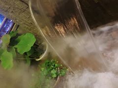 -龙宴海鲜城(经中路店)