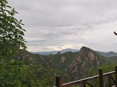 -大岭沟猕猴桃谷风景区