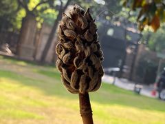 -上海安亭别墅花园酒店