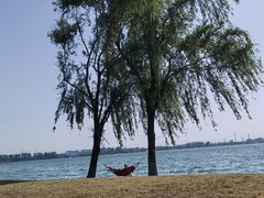 -漕湖湿地公园