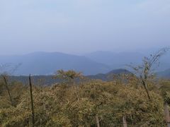 -莫干山风景区