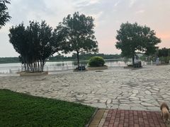 -大港湿地公园