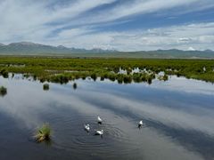 -花湖生态旅游区