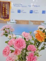 -靓芙泉专研痘痘肌