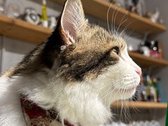 -小时光咖啡馆(北锣鼓巷店)