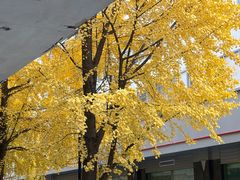 -中国工商银行(杭州湖墅支行)