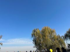 -南湖湿地公园
