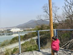 -九华山公园