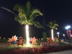 -野狸岛